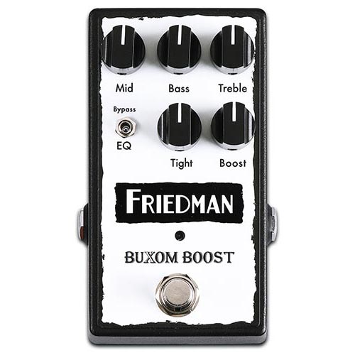 Friedman Buxom Boost