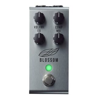 Jackson Audio Blossom