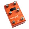GFI System Rossie - Thumbnail Image 3