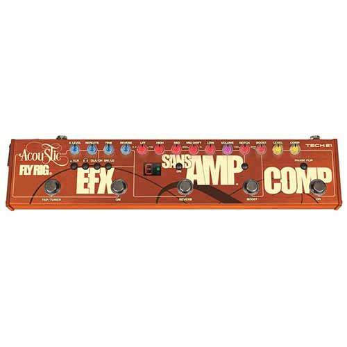 Tech 21 Acoustic Fly Rig